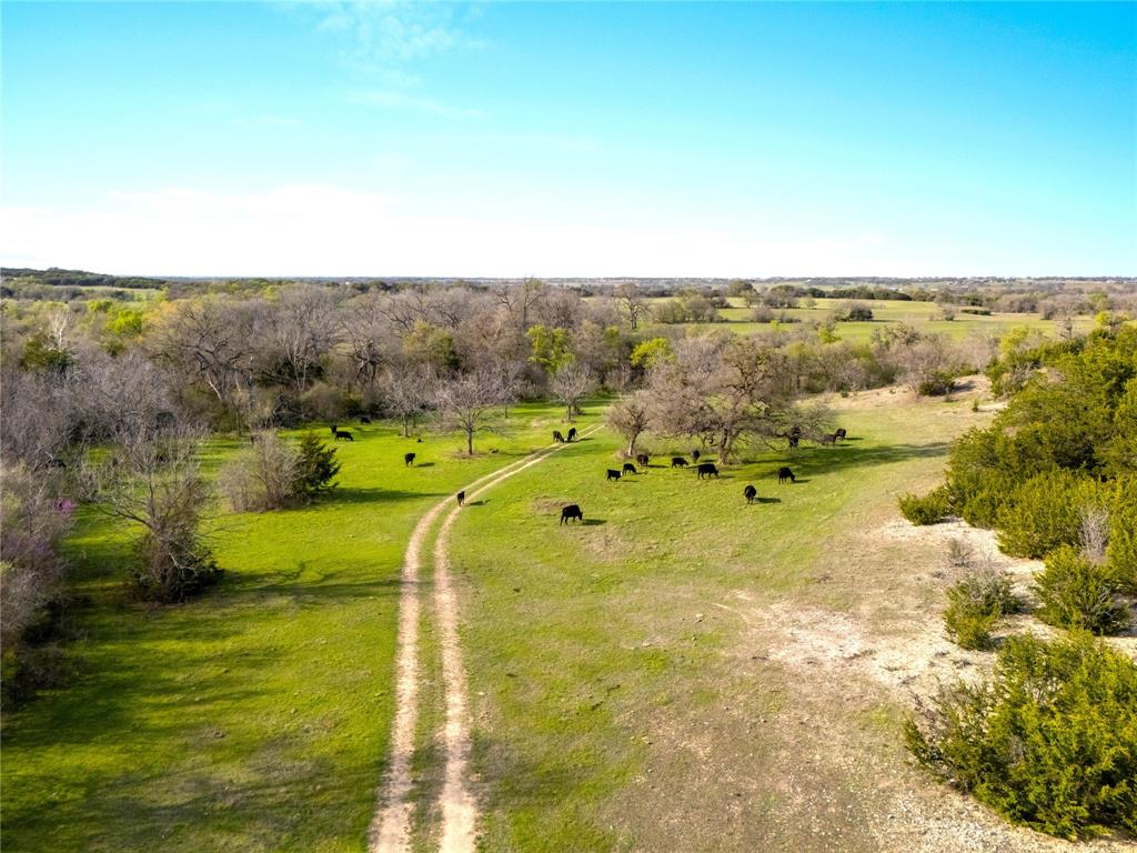 G H DeMoss, DP Brooks - Farm