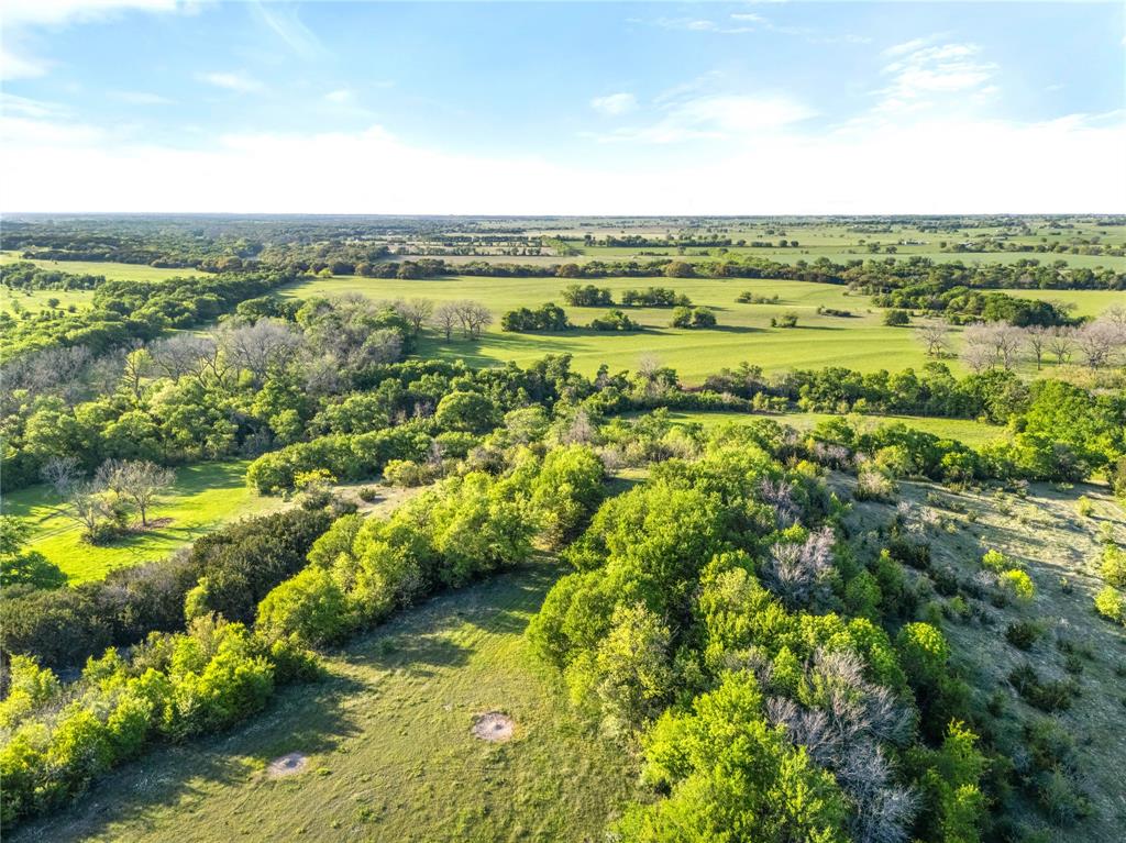 G H DeMoss, DP Brooks - Farm