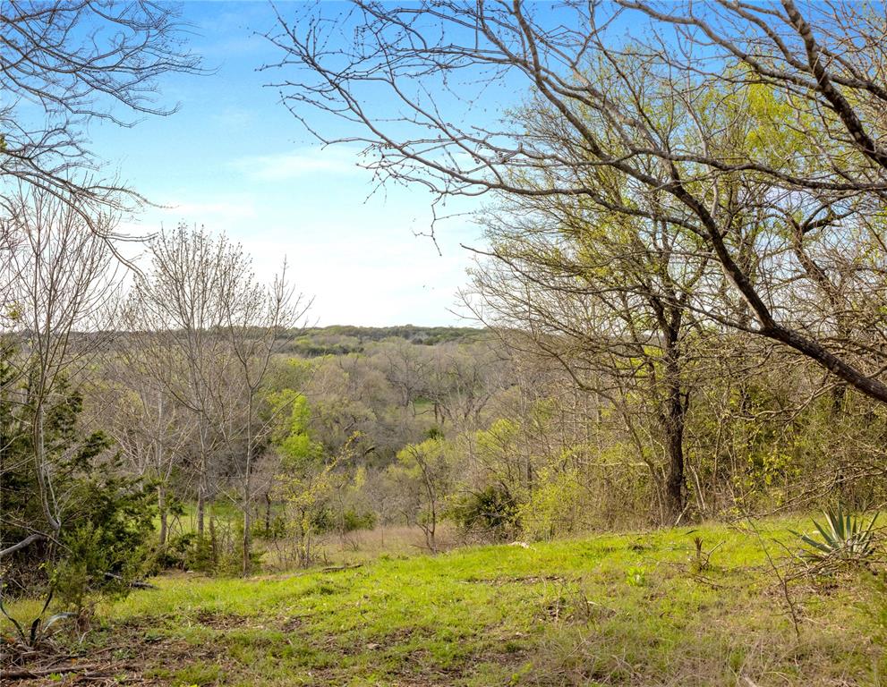 G H DeMoss, DP Brooks - Farm