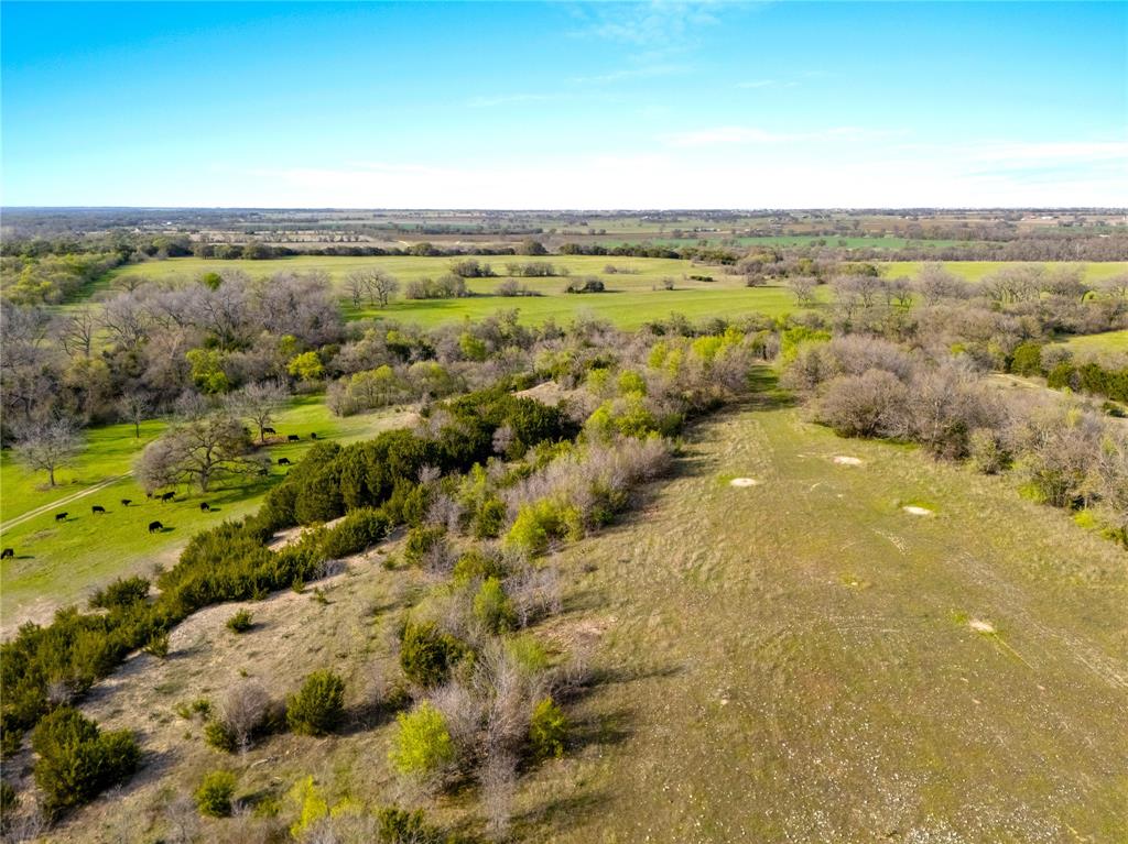 G H DeMoss, DP Brooks - Farm