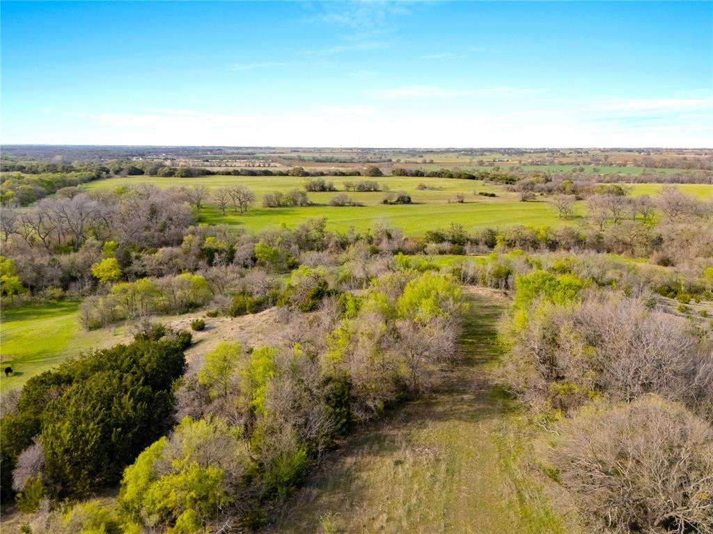 G H DeMoss, DP Brooks - Farm