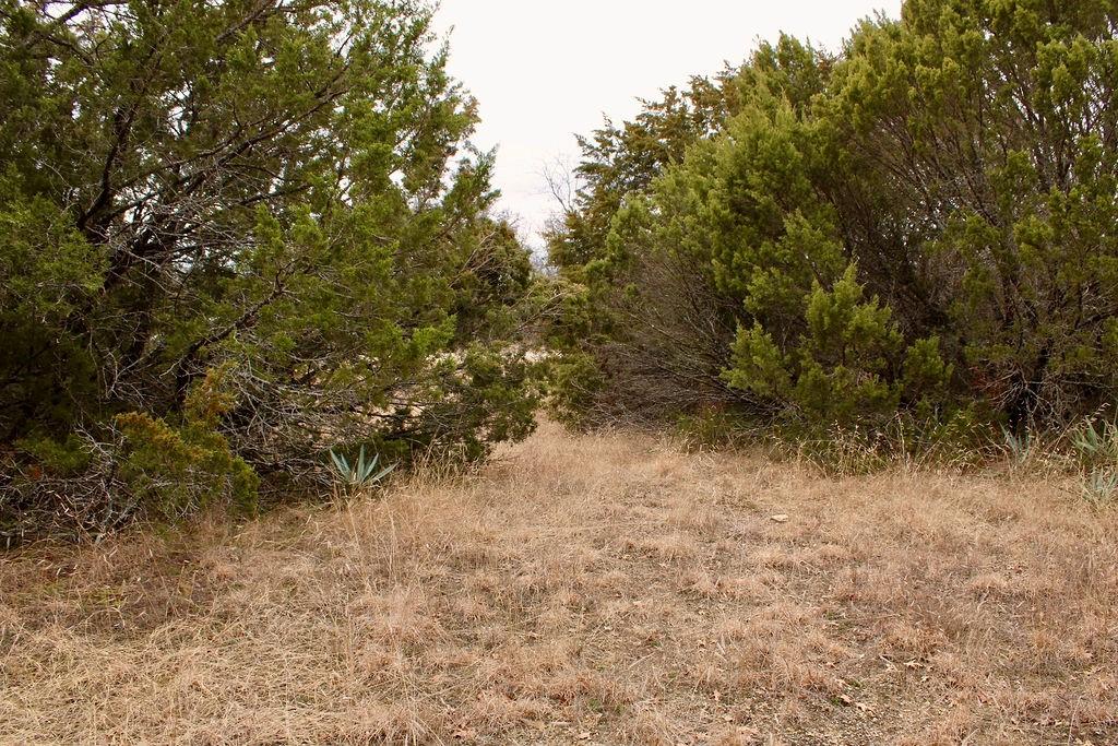 Arrowhead Shores - Land