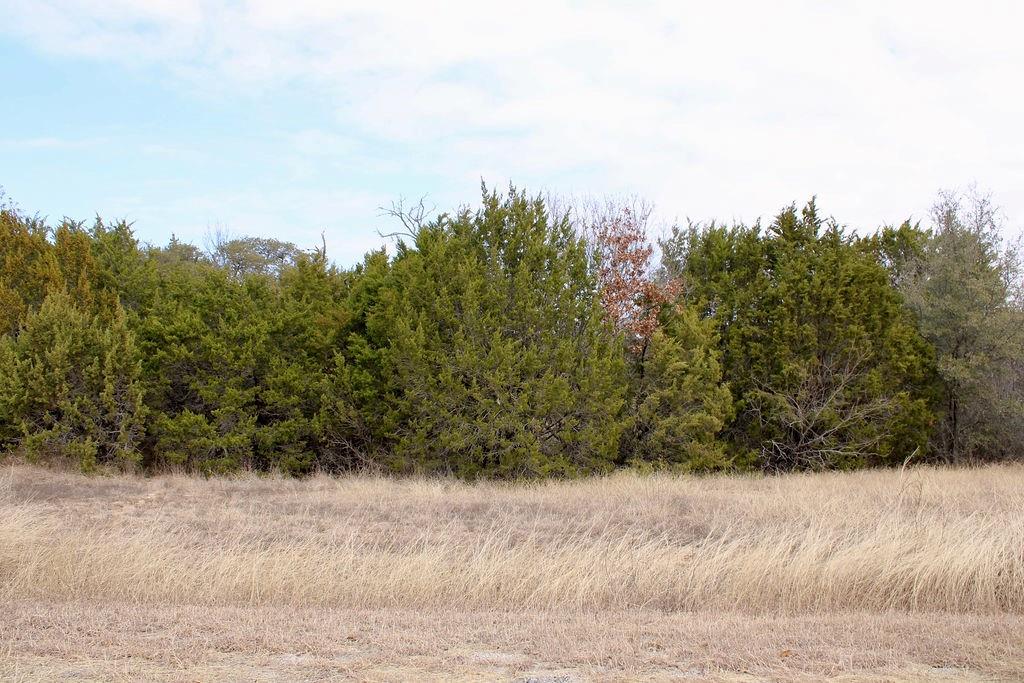 Arrowhead Shores - Land