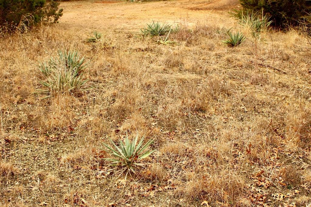 Arrowhead Shores - Land