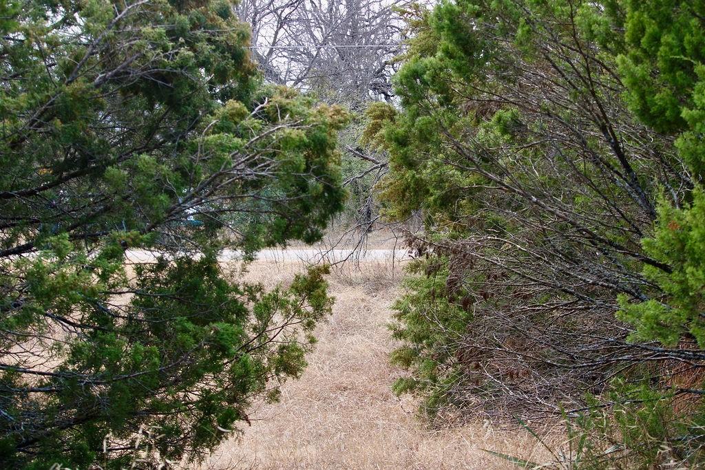 Arrowhead Shores - Land