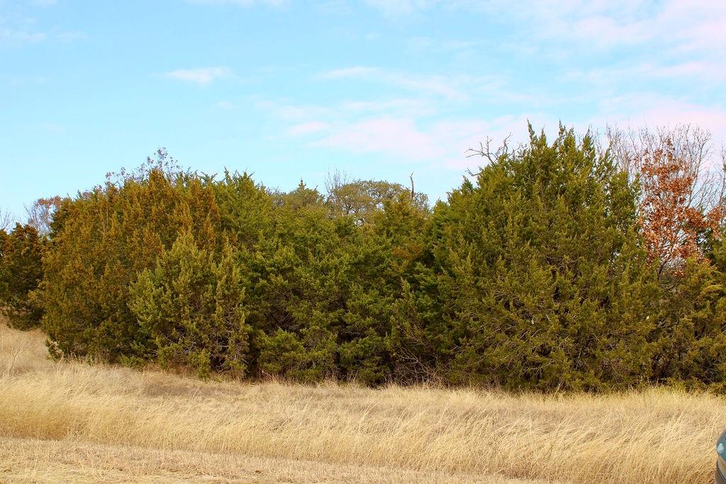 Arrowhead Shores - Land