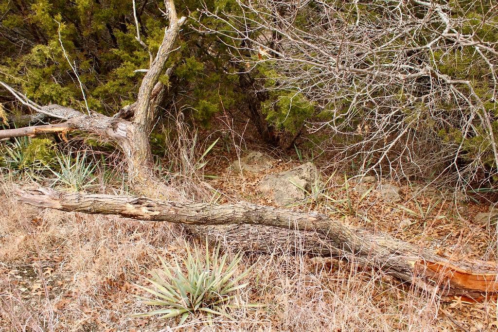 Arrowhead Shores - Land