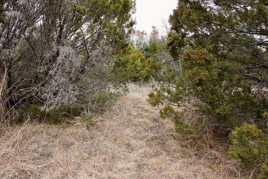 Arrowhead Shores - Land