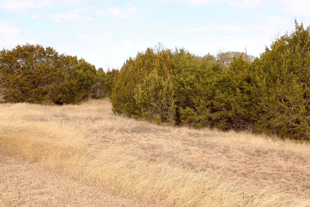 Arrowhead Shores - Land