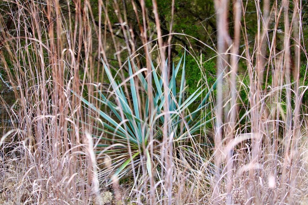 Arrowhead Shores - Land