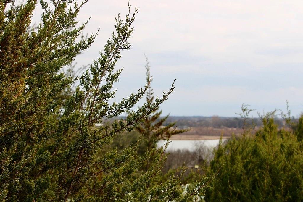 Arrowhead Shores - Land