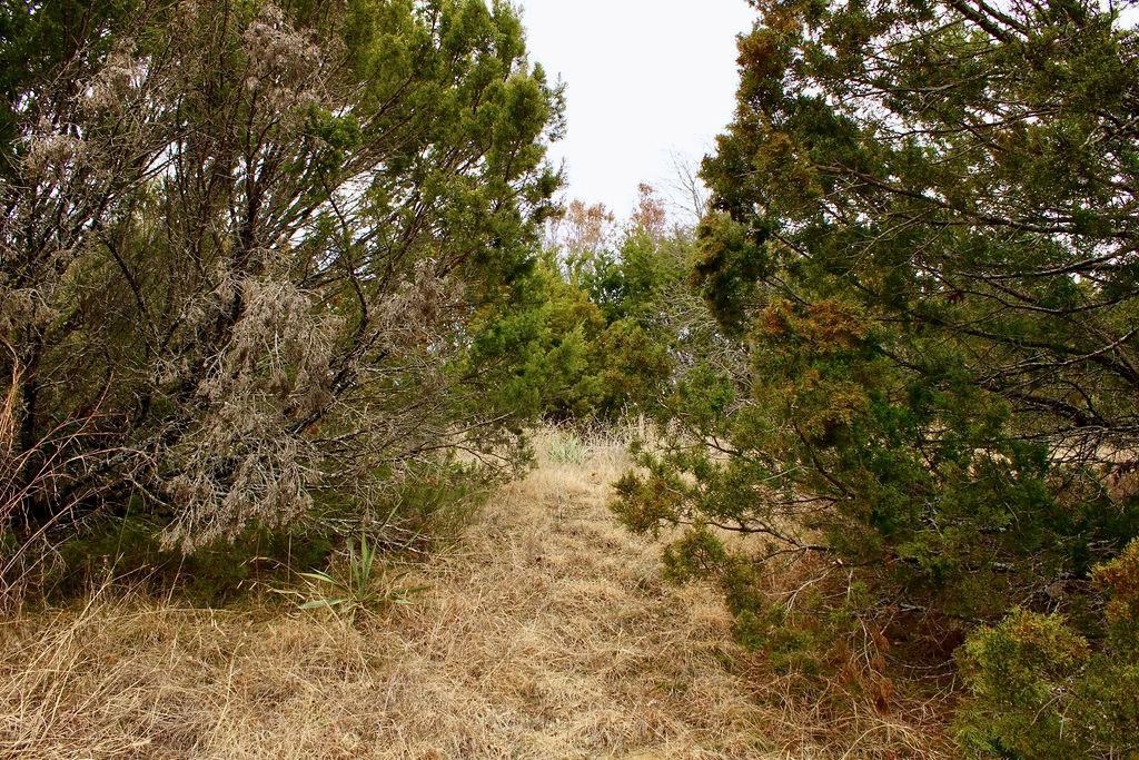 Arrowhead Shores - Land