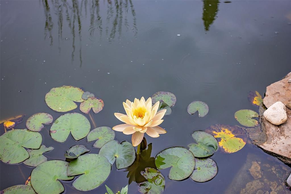 Eaton Add - Residential