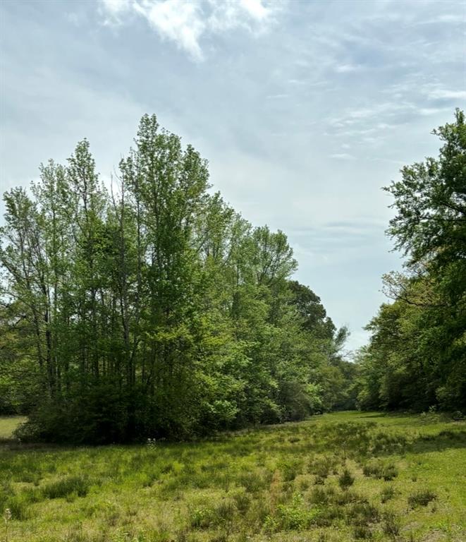TBD 006 County Road 242
