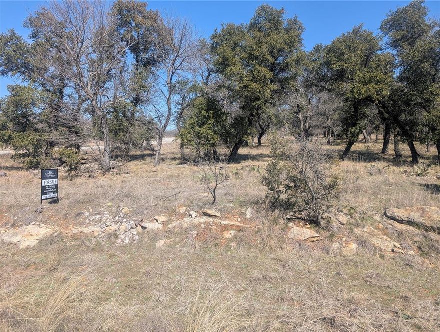 Located within the prestigious North Star Pointe community, this remarkable acre lot offers an ideal opportunity to create your dream home or peaceful getaway. With elevated views of the expansive 12,000-acre Lake Bridgeport, mature trees, and a serene creek bordering the southern edge, this property provides a tranquil and picturesque setting. The neighborhood is secure and gated, with paved streets, city water, and underground utilities for convenience.

Residents enjoy access to exclusive amenities, including a private pool, boat ramp, boat dock with day slips, and sports courts for tennis, pickleball, and basketball. The abundant wildlife, such as deer, adds to the charm and natural beauty of the area, making it a paradise for nature enthusiasts. Whether you're seeking outdoor adventure, a peaceful retreat, or the perfect location for your forever home, this lot offers the ideal backdrop for your vision.