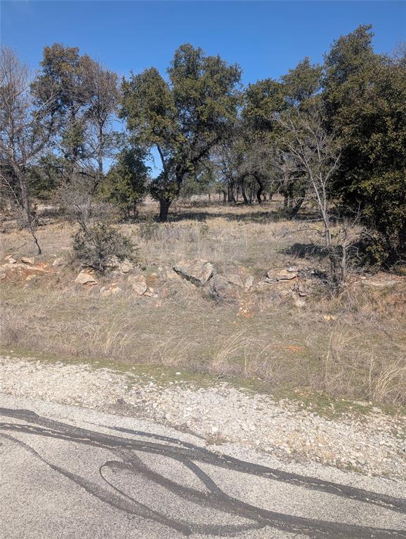 North Star Pointe - Land