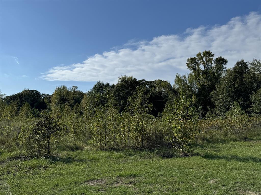 A0561 MOORE - Residential