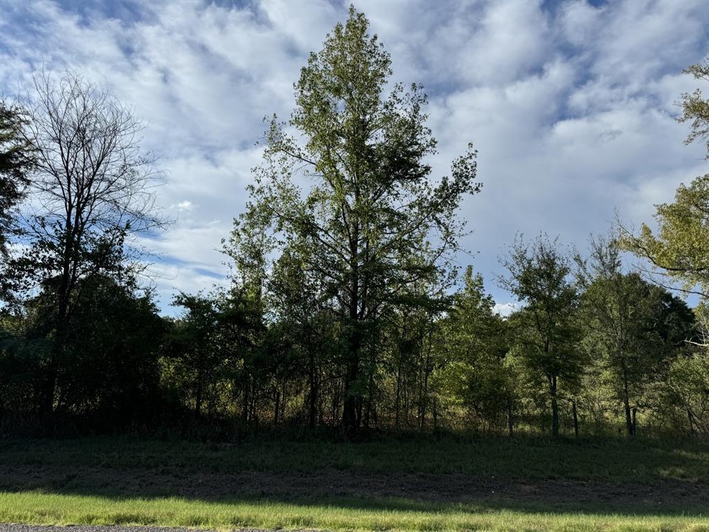 A0561 MOORE - Residential