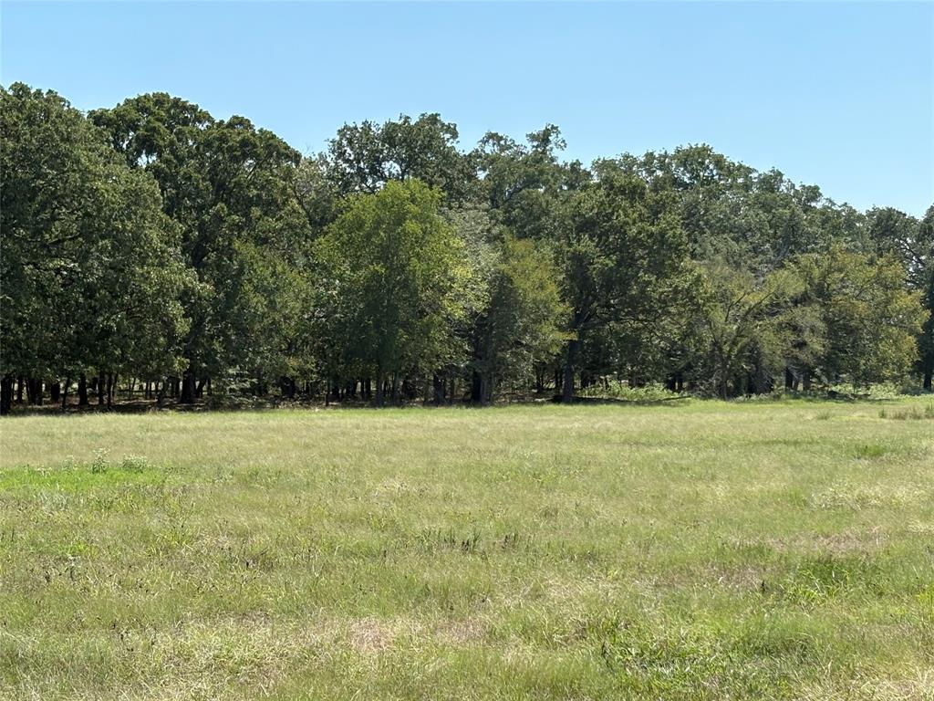 TBD County Road 1168 3