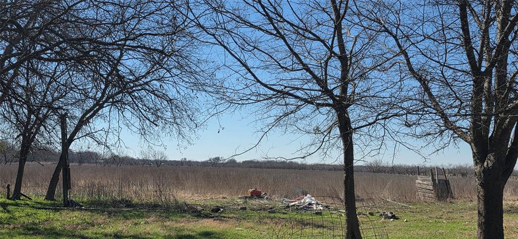 Plantation Acres - Farm