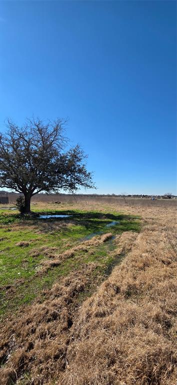 Plantation Acres - Farm