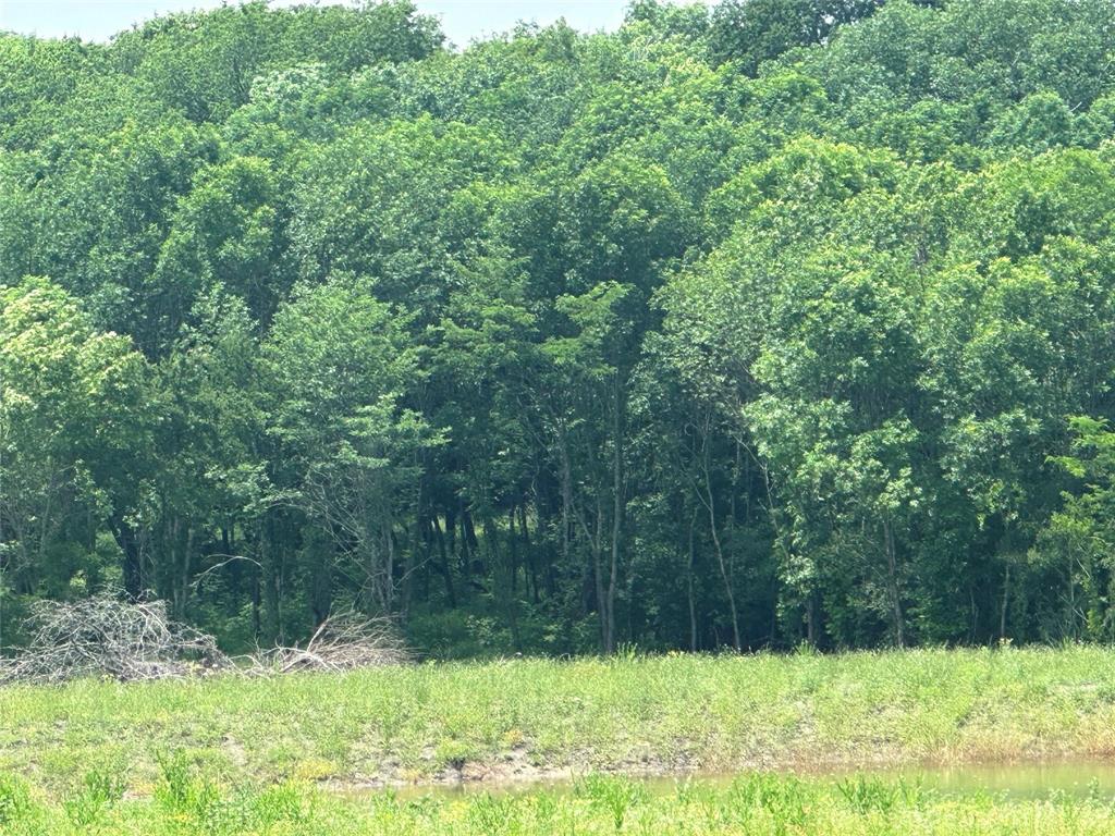 1829 Old Millwood Road