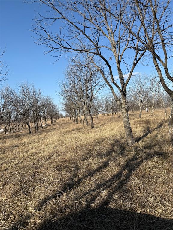 Wolfe Pecanlands Dev 30 - Land