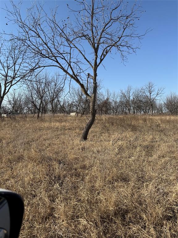 Wolfe Pecanlands Dev 30 - Land