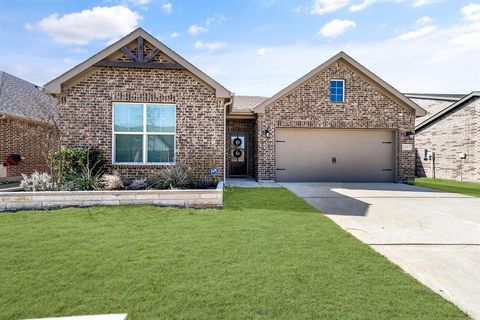 3117 Greymoore Drive Anna TX 75409