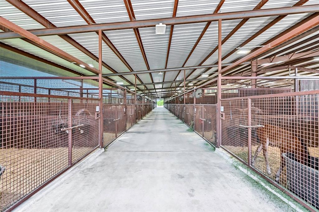 Mirabeau B Lamar Surv Abs #704 - Farm