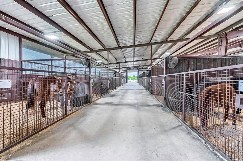 Mirabeau B Lamar Surv Abs #704 - Farm