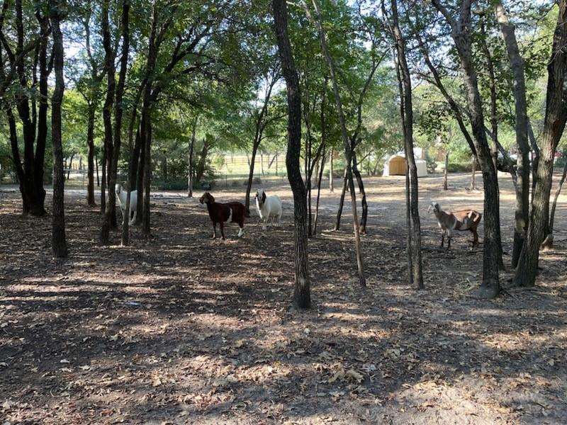 Lakeview Estates Little Elm I - Residential