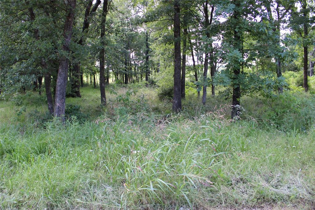 116 Lakeview Trail