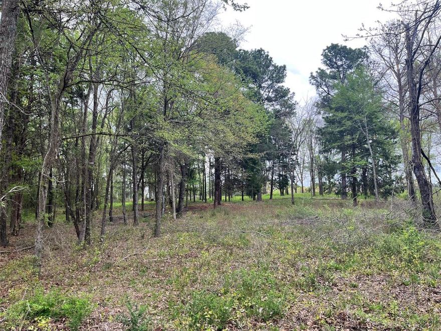Lot 329 is a 1.4 +-acre lot inside the gated and restricted community of Waters Edge
Ranch in Phase 3. Community amenities include approximately 328 acre stocked lake, community pool,
community boat ramp, pickle ball court and more. Waters Edge Ranch is right outside of Athens and a
short drive from Dallas and Tyler