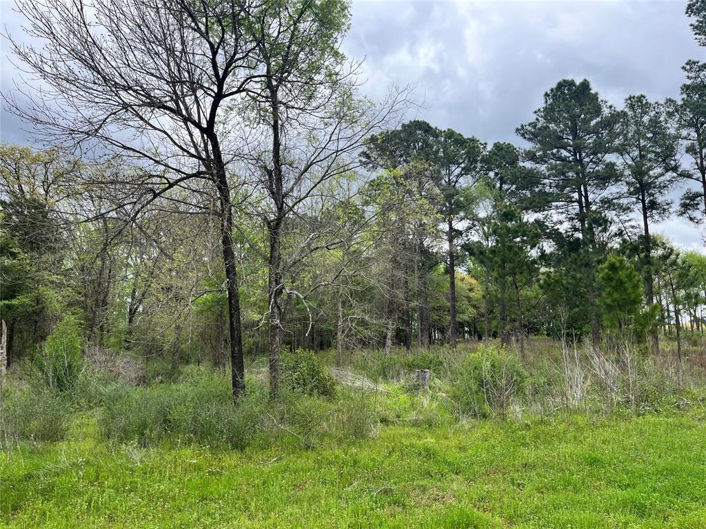 Waters Edge Ranch Ph 3 - Land