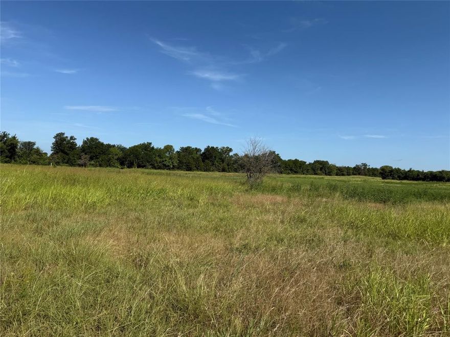 Come see this beautiful 11 acre tract in the quiet and peaceful country side of Leonard! Located only 30 minutes' drive from McKinney, Greenville, and Sherman this property is ready for your forever home to be built! Only restriction is no manufactured homes. New survey will be ordered with acceptable offer.