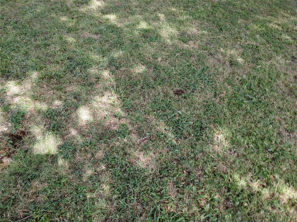 P J ALLEN - Commercial Lease