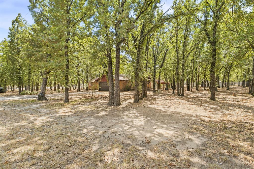 213 County Road 195