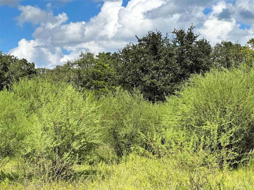 Photo of 2607 Fm 318 E, Yoakum, TX 77995 (MLS # 21194139)