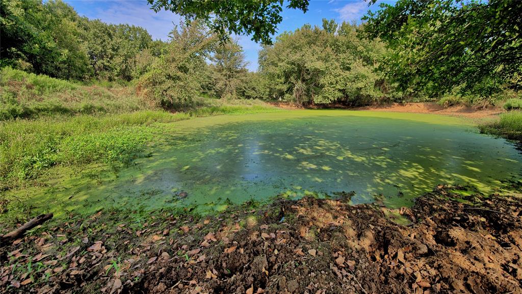 T E & L co Survey - Farm