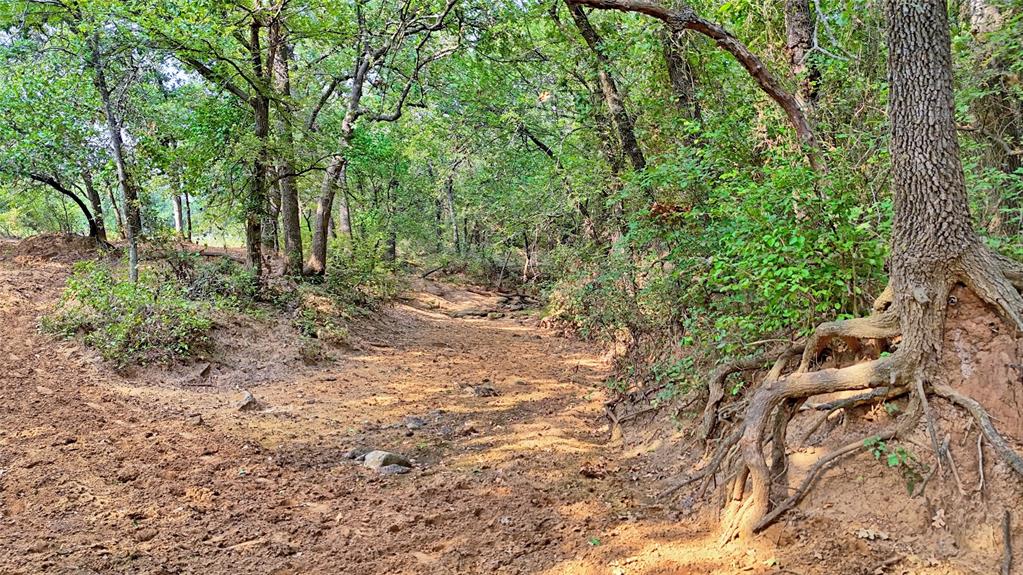 T E & L co Survey - Farm