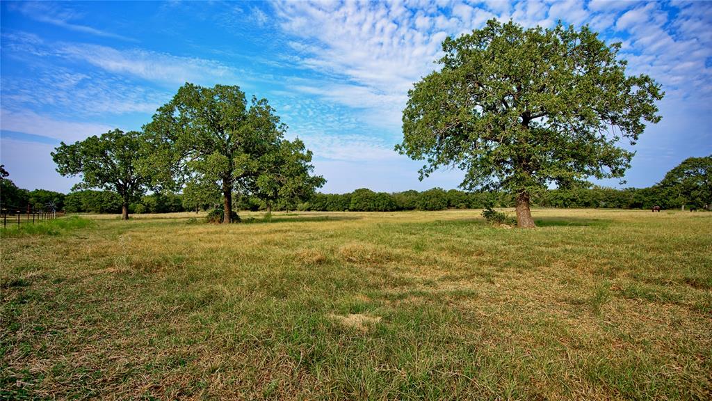 T E & L co Survey - Farm