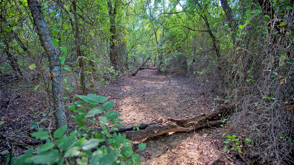 T E & L co Survey - Farm