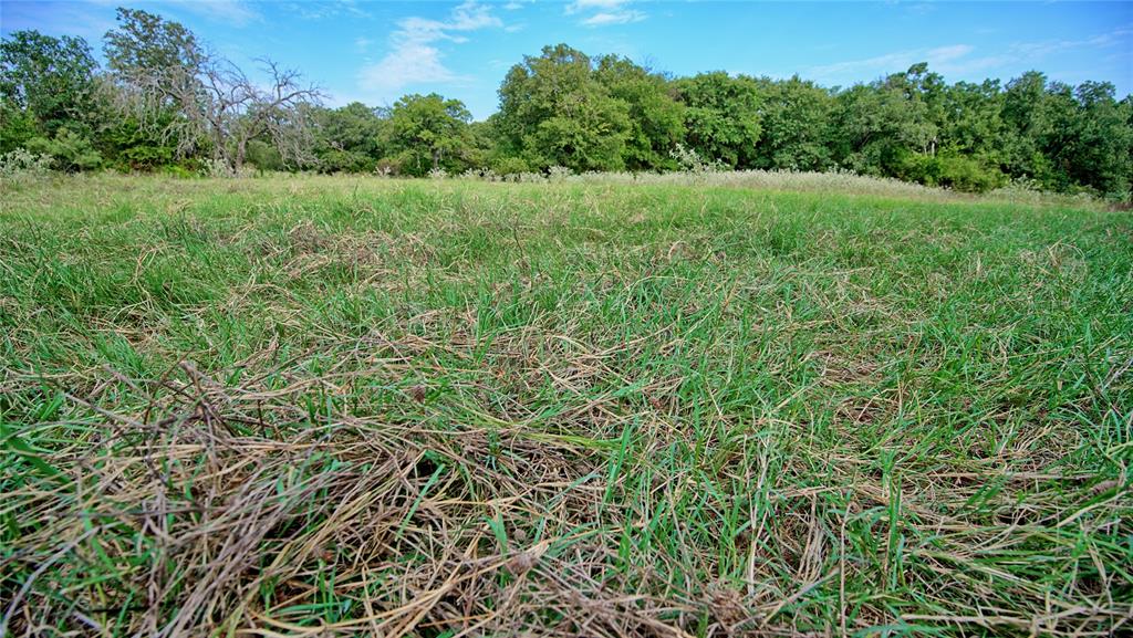 T E & L co Survey - Farm