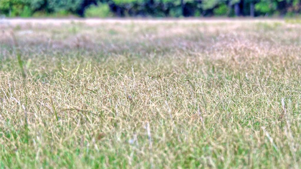 T E & L co Survey - Farm