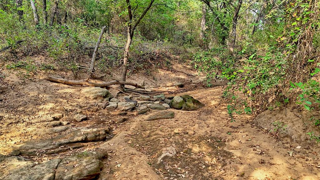 T E & L co Survey - Farm