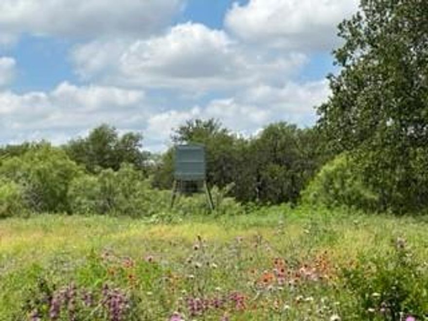 This 90.12 +- acres has paved frontage on 2 sides with rural water and electricity available. The ranch has rolling terrain with good elevation changes. The cover is excellent with plenty of oaks along with elms, mesquites, and few cedar (most of the cedar has been cleared) and native brush giving the wildlife good browse. The ranch offers excellent hunting and recreational opportunities along with awesome building sites for your dream home. It is also an ideal property for development purposes.