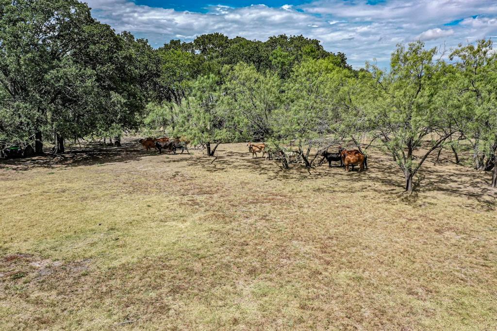 Wolf Ranch 1 Tr 10 - Land