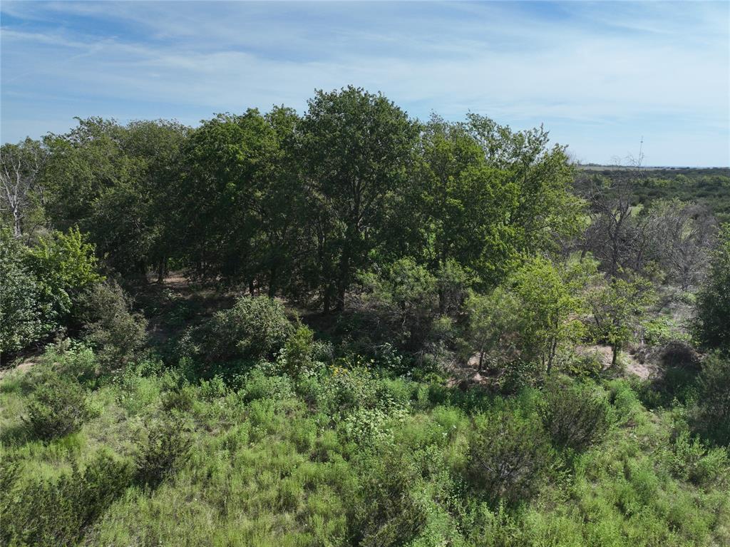 J Montez Surv A-529 - Farm