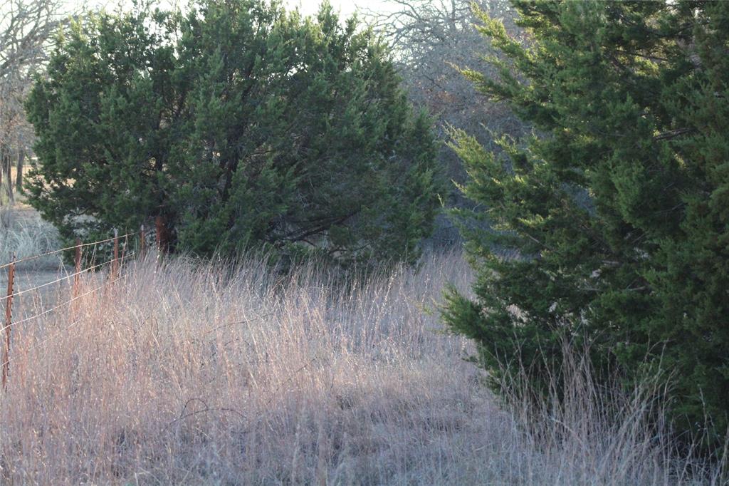 TBD E FM 2210 Highway